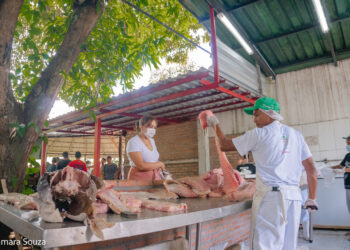 Semana Santa: FAS realiza venda de pirarucu e tambaqui de manejo sustentável