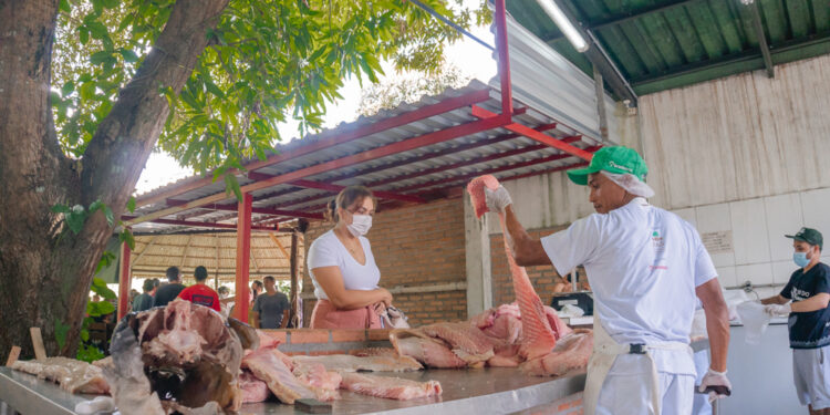 Semana Santa: FAS realiza venda de pirarucu e tambaqui de manejo sustentável