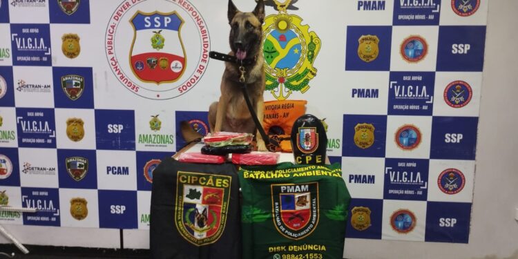 Cão auxilia polícia na apreensão de cocaína em colete salva-vidas de embarcação