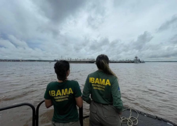 Ibama segue sem perspectiva para reabrir postos-chave na Amazônia, diz site