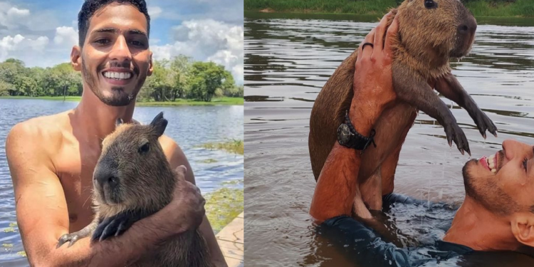 Ibama multou ribeirinho que cuida da capivara Filó em Autazes, diz deputada