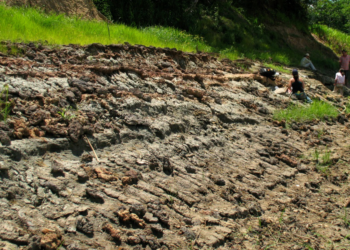 Cientistas encontram resquícios do mar nas regiões do Javari, Juruá e Solimões