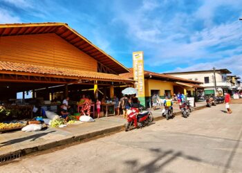 DPE instaura procedimento para investigar quedas de energia em Codajás