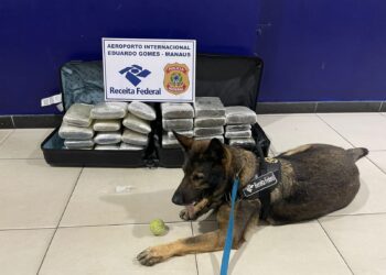 PF apreende drogas e prende dois homens que tentava embarcar em voo para SP