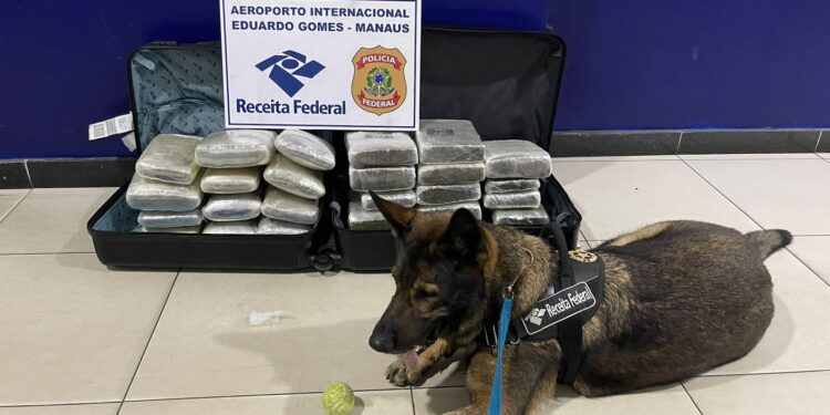 PF apreende drogas e prende dois homens que tentava embarcar em voo para SP