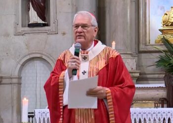 Dom Leonardo Steiner diz que Semana Santa inicia com Domingo de Ramos