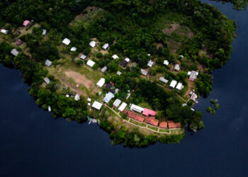 FAS completa 15 anos com resultados de conservação ambiental e conquistas para os povos da floresta