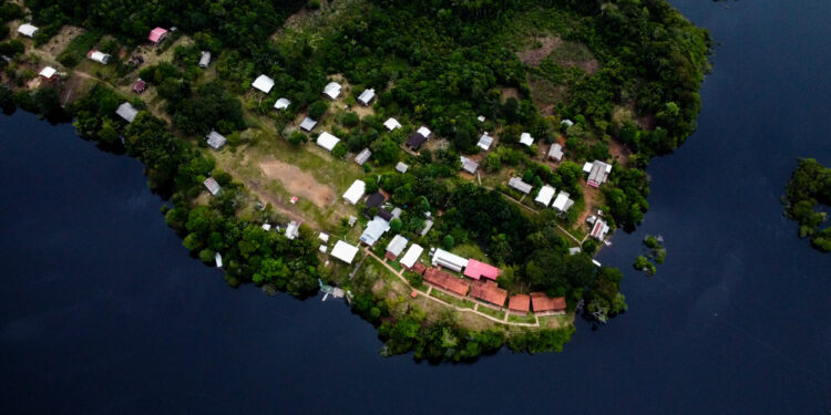 FAS completa 15 anos com resultados de conservação ambiental e conquistas para os povos da floresta