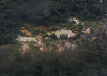 PF combate comércio de ouro extraído ilegalmente de Terra Yanomami