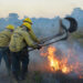 Com vagas para Apuí e Humaitá, Ibama publica edital de processo seletivo