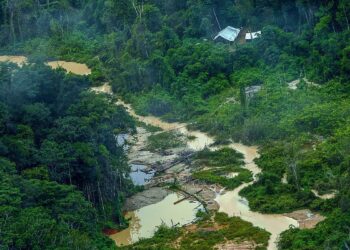Greenpeace informa registro de 176 escavadeiras em terras Yanomami