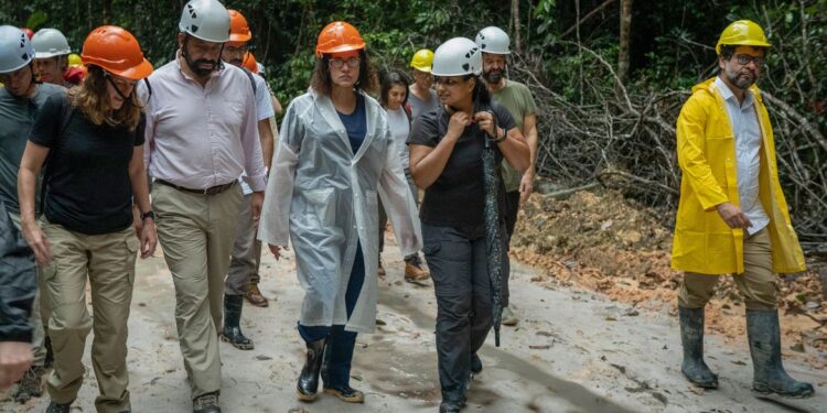 Brasil e Reino Unido anunciam aportes em projeto ambiental na Amazônia