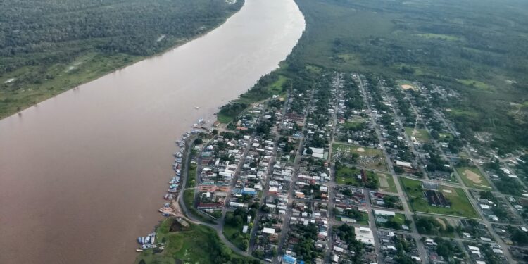 Doce turismo: Boa Vista do Ramos é destino de produção de mel