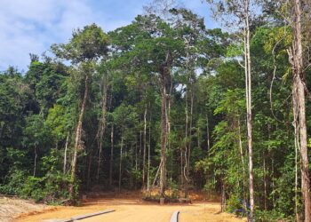 Condomínio mais sustentável da região Norte localiza-se em Manaus