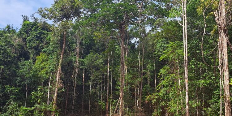 Condomínio mais sustentável da região Norte localiza-se em Manaus