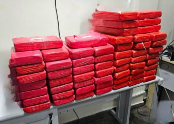 Polícia prende homem e apreende 60 tabletes de cocaína avaliados em R$ 4,5 milhões