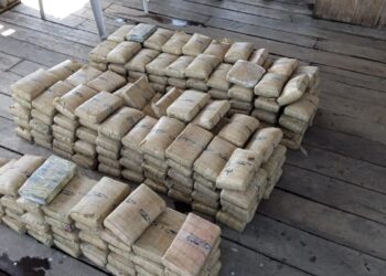 Em Barcelos, Polícia Militar apreende 230 quilos de maconha