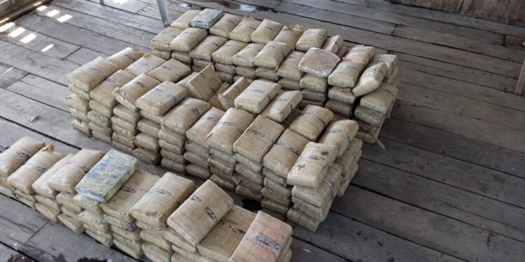 Em Barcelos, Polícia Militar apreende 230 quilos de maconha