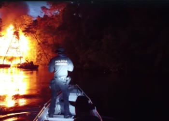 Amazonas: PF e ICMBio destroem 5 dragas usadas pelo garimpo em área de conservação