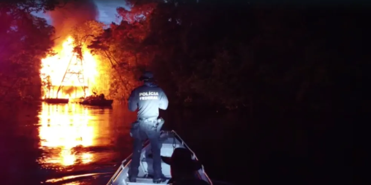 Amazonas: PF e ICMBio destroem 5 dragas usadas pelo garimpo em área de conservação