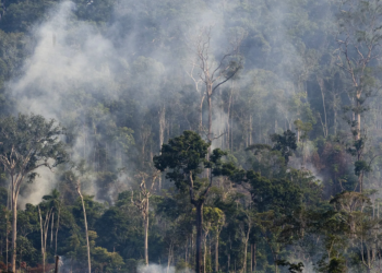 El Niño pode ser devastador para a Amazônia