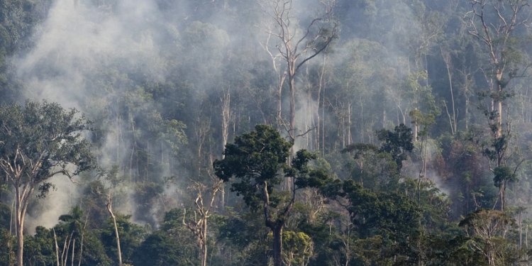 El Niño pode ser devastador para a Amazônia