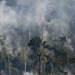 El Niño pode ser devastador para a Amazônia