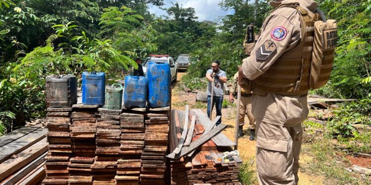 Tamoiotatá 3: Agentes de fiscalização aplicam mais de R$1 milhão em multas