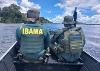 Ibama embarga serrarias, aprende animais silvestres e aplica multa de R$ 85 mil