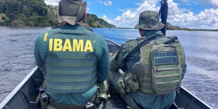 Ibama embarga serrarias, aprende animais silvestres e aplica multa de R$ 85 mil