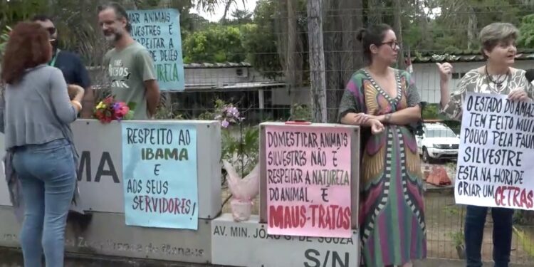 Manifestantes realizam ato em Manaus em defesa do Ibama
