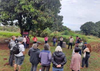 Projeto promove agricultura sustentável entre comunidades de Manaus