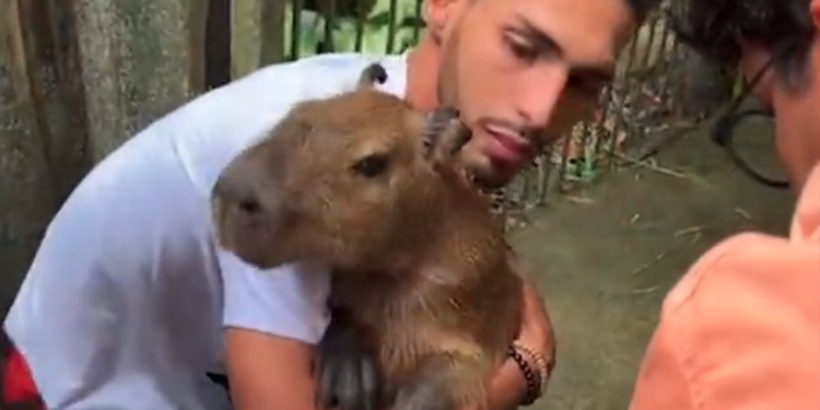 Analista do Ibama diz que Filó deve ficar livre na natureza e não na casa de Agenor