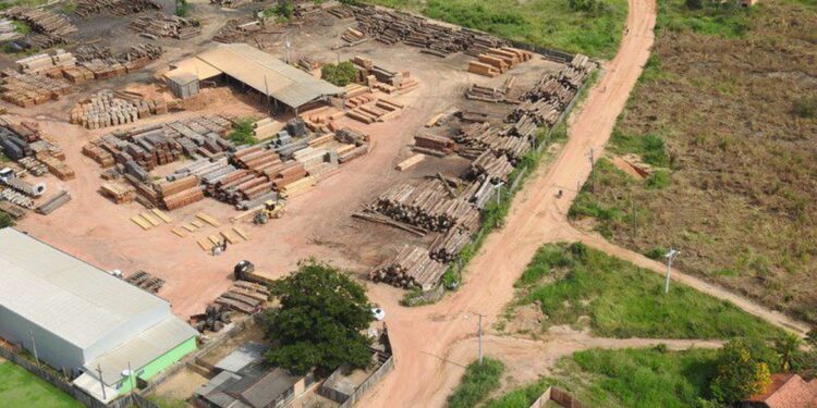 Indígenas temem represália após operação em TI Karipuna