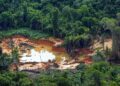 Mulher é encontrada morta em Terra Indígena Yanomami