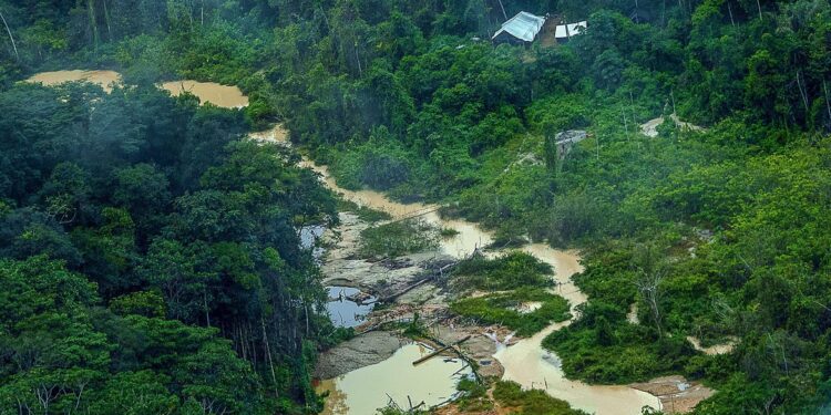 PF ouve primeiros depoimentos sobre ataque na Terra Yanomami