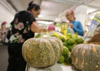 Confira o calendário das Feiras da ADS desta semana