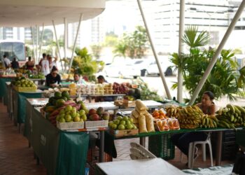 ADS realiza edição especial da Feira de Produtos Regionais na sede da Setemp  
