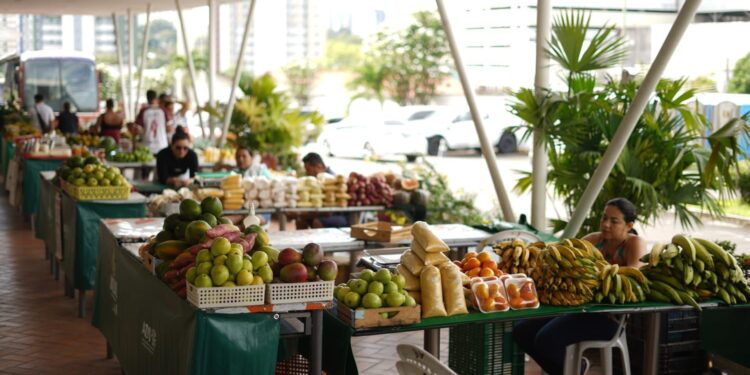 ADS realiza edição especial da Feira de Produtos Regionais na sede da Setemp