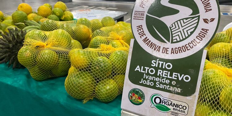 ADS oferece mais duas opções de feiras aos consumidores   