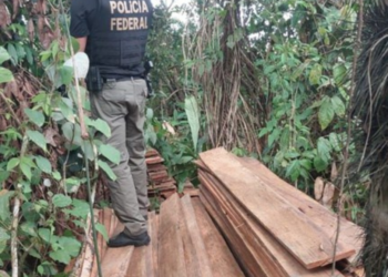 Polícia Federal prende 4 pessoas e apreende 2 toneladas de madeira ilegal no AM