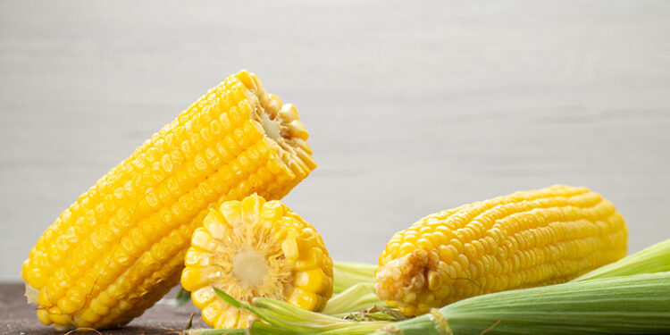 São João: comidas de milho são ricas em vitaminas e minerais, mas devem ser consumidas com moderação