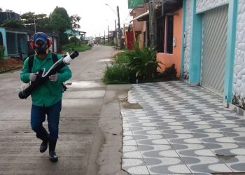 Levantamento aponta que 69% do AM tem riscos baixo e médio para Aedes aegypti