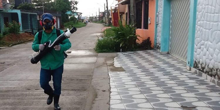 Levantamento aponta que 69% do AM tem riscos baixo e médio para Aedes aegypti