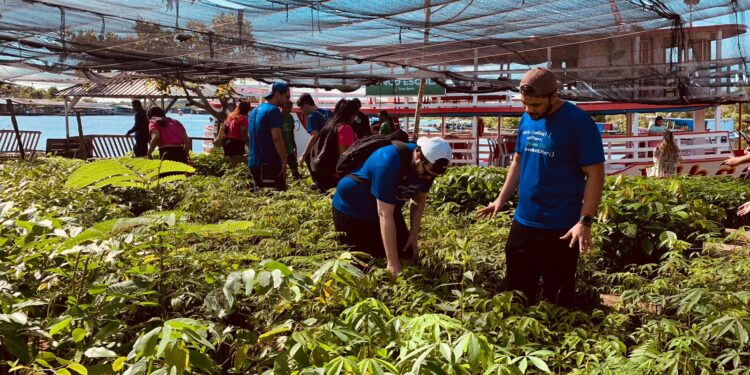 SiDi planta mudas nativas da Amazônia em comunidade ribeirinha de Manaus