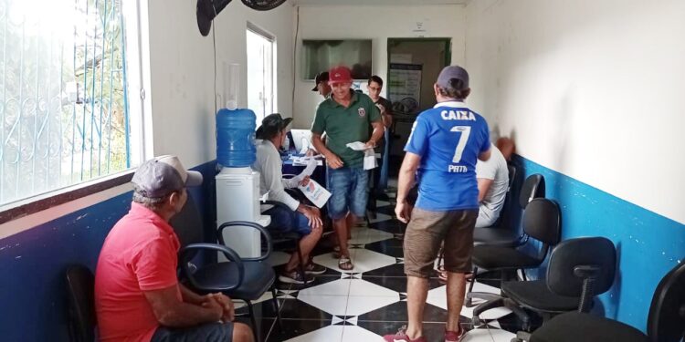 Febre aftosa: Prazo para comunicação da vacinação se encerra nesta sexta-feira