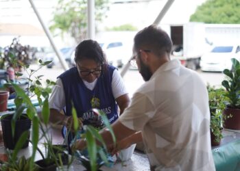 Setemp recebe primeira edição especial de feira de produtos regionais em parceria com ADS