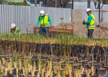Prosamin+ investe em sustentabilidade e transforma cenário nos canteiros de obras