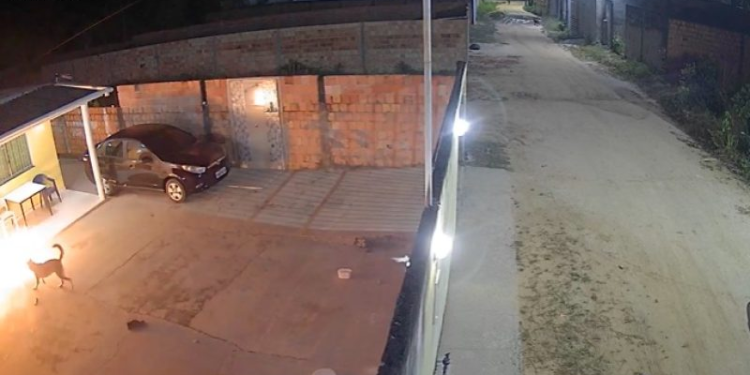 Vídeo: Bandidos jogam granada em residência do bairro Nova Cidade, em Manaus
