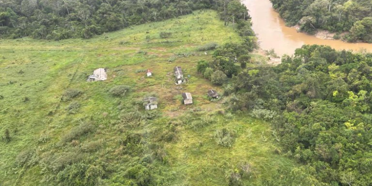 PF e ICMBio realizam operação contra desmatamento no Sul do Amazonas